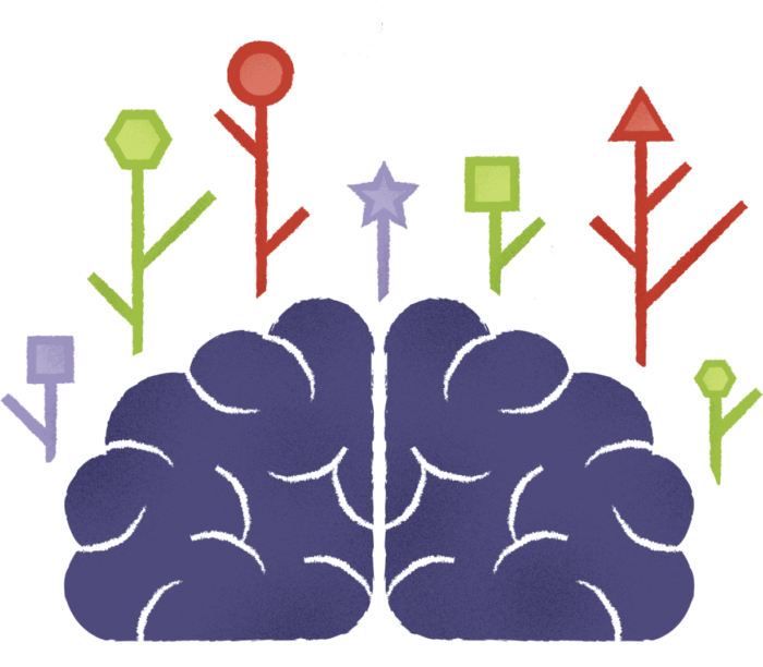 Illustration of brain outputs to depict leadership development programme outputs